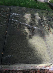 Geertruid Jannes Wiersum